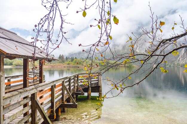 Культурные особенности и события в Березовце