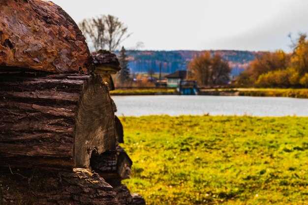 Местные традиции и обычаи: что стоит знать?