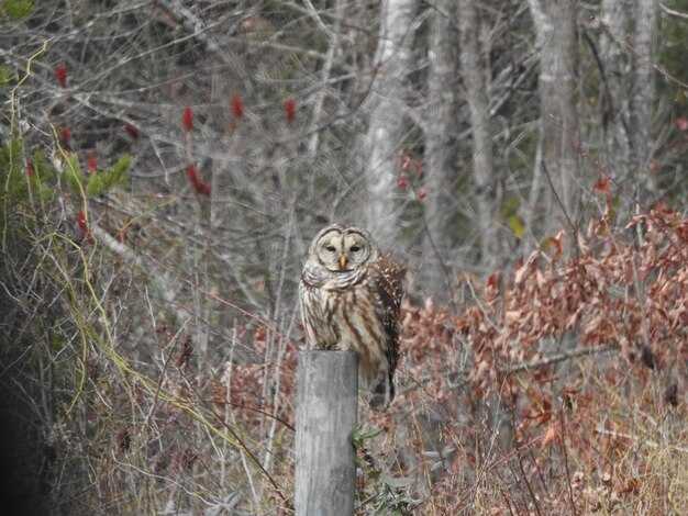 Влияние стресса и образа жизни