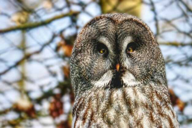 Реакция коллег и друзей из профессиональной среды