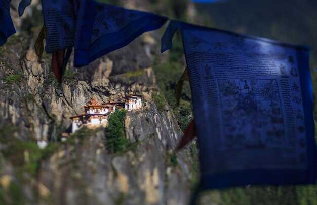 Ареал обитания махонина