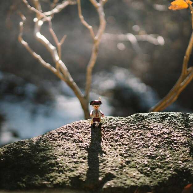 Социальные проекты и волонтерская деятельность