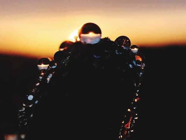 Семейная жизнь Джобса: Личные снимки и их значение