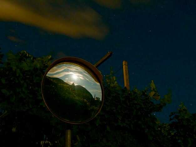 Значение для планетарной науки