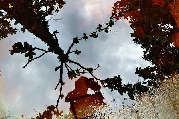 Изменения в жизни Madison Ivy после аварии