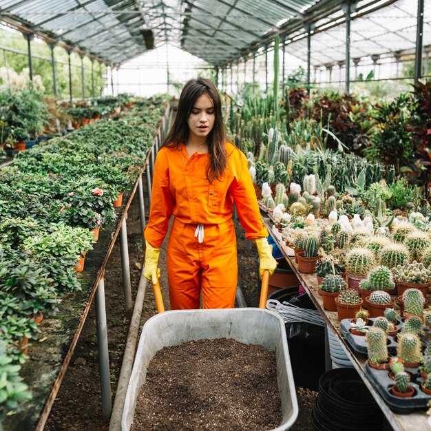 Уровень освещенности и защита от ветра