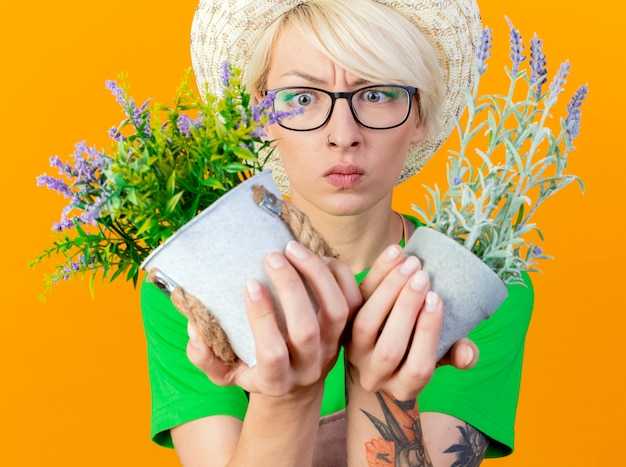 Влияние на молодежь и социальные инициативы