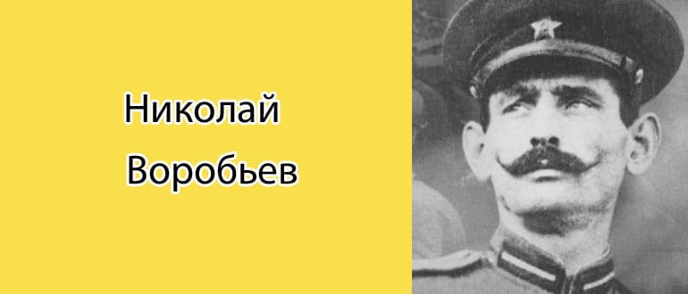Николай Воробьев: биография, фото, личная жизнь